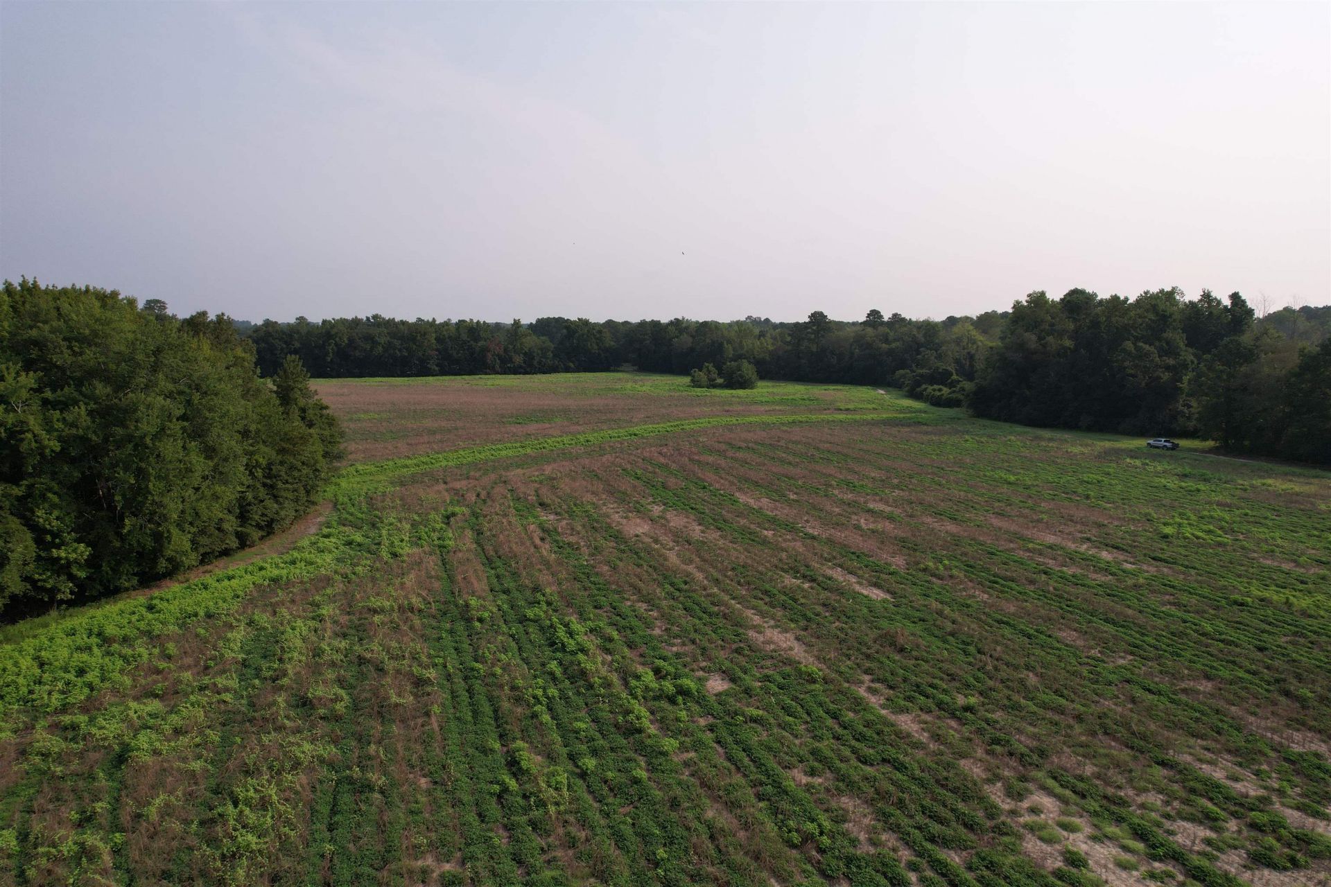 85Â± Acres - Antler Dr  Photo 9
