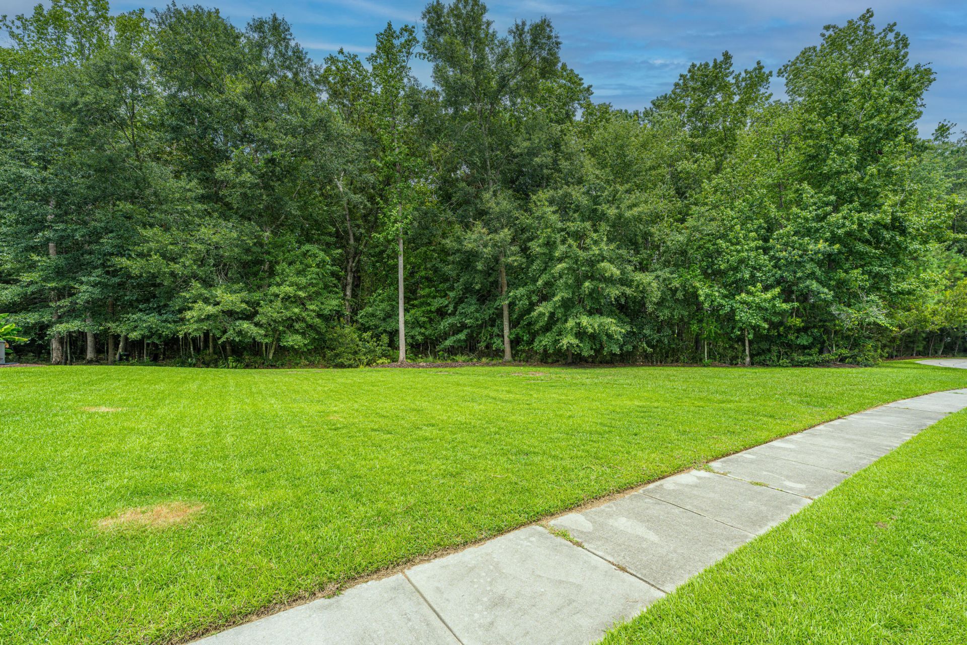 3813 Hanoverian Drive Photo 40