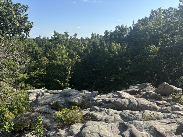 0 Holloway Ridge Road , Spring City, TN 37381