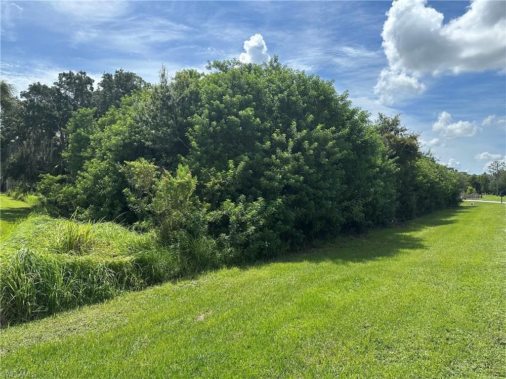 18430 River Estates Ln, Alva, FL 33920 Photo