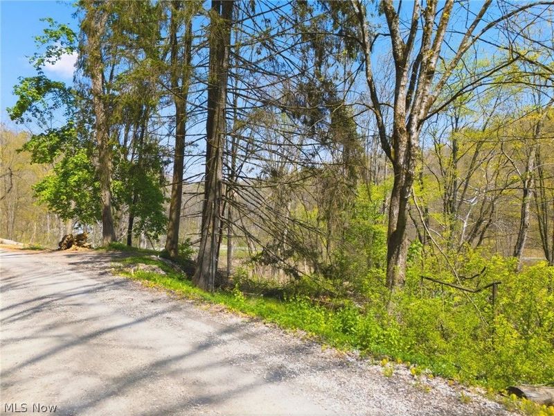 7166 Dove Road SW, Carrollton, OH 44615 Photo 9