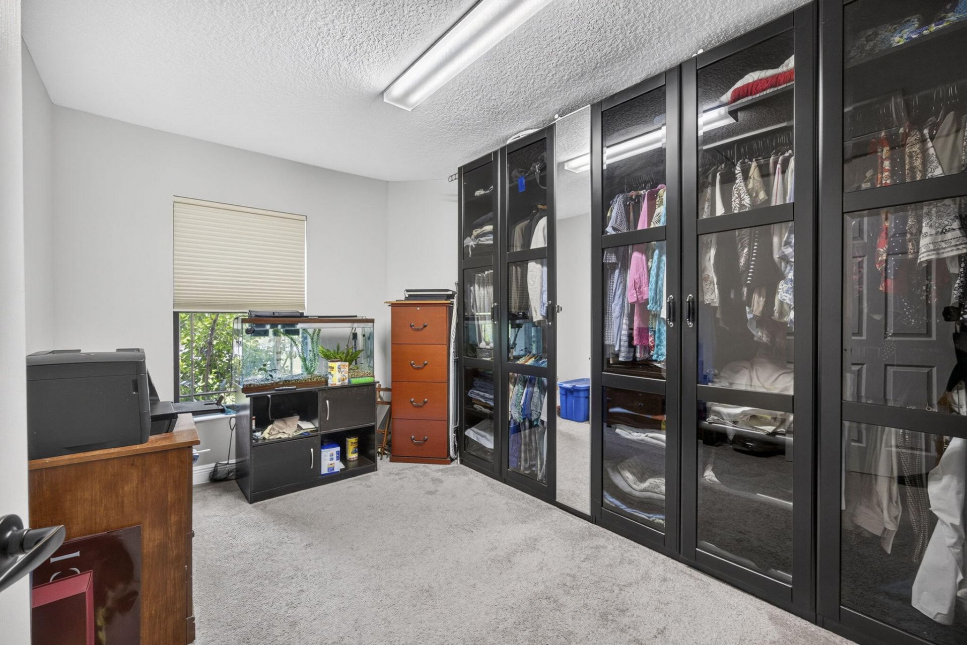 17377 W Alan Black Boulevard, The Acreage, FL 33470 Photo
