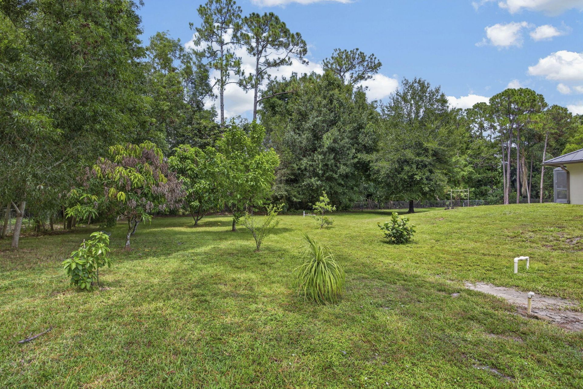 17377 W Alan Black Boulevard, The Acreage, FL 33470 Photo