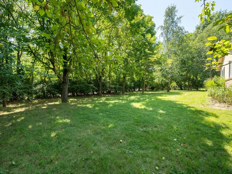 4880 Hayden Run Road, Columbus, OH 43221 Photo 14