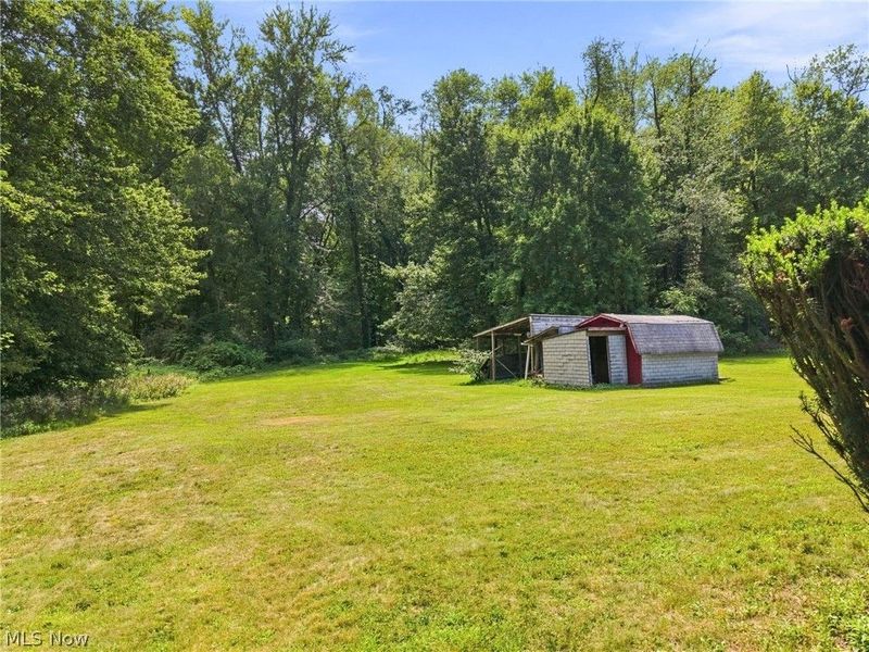 1129 Oak Tree Road, Akron, OH 44320 Photo 28