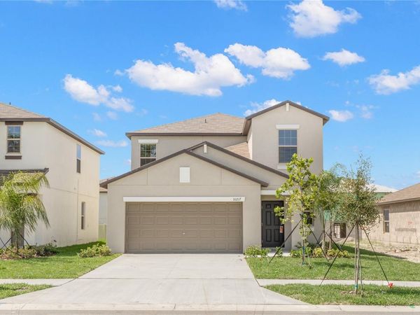 10217 SUMMER KISS AVENUE , RIVERVIEW, FL 33578