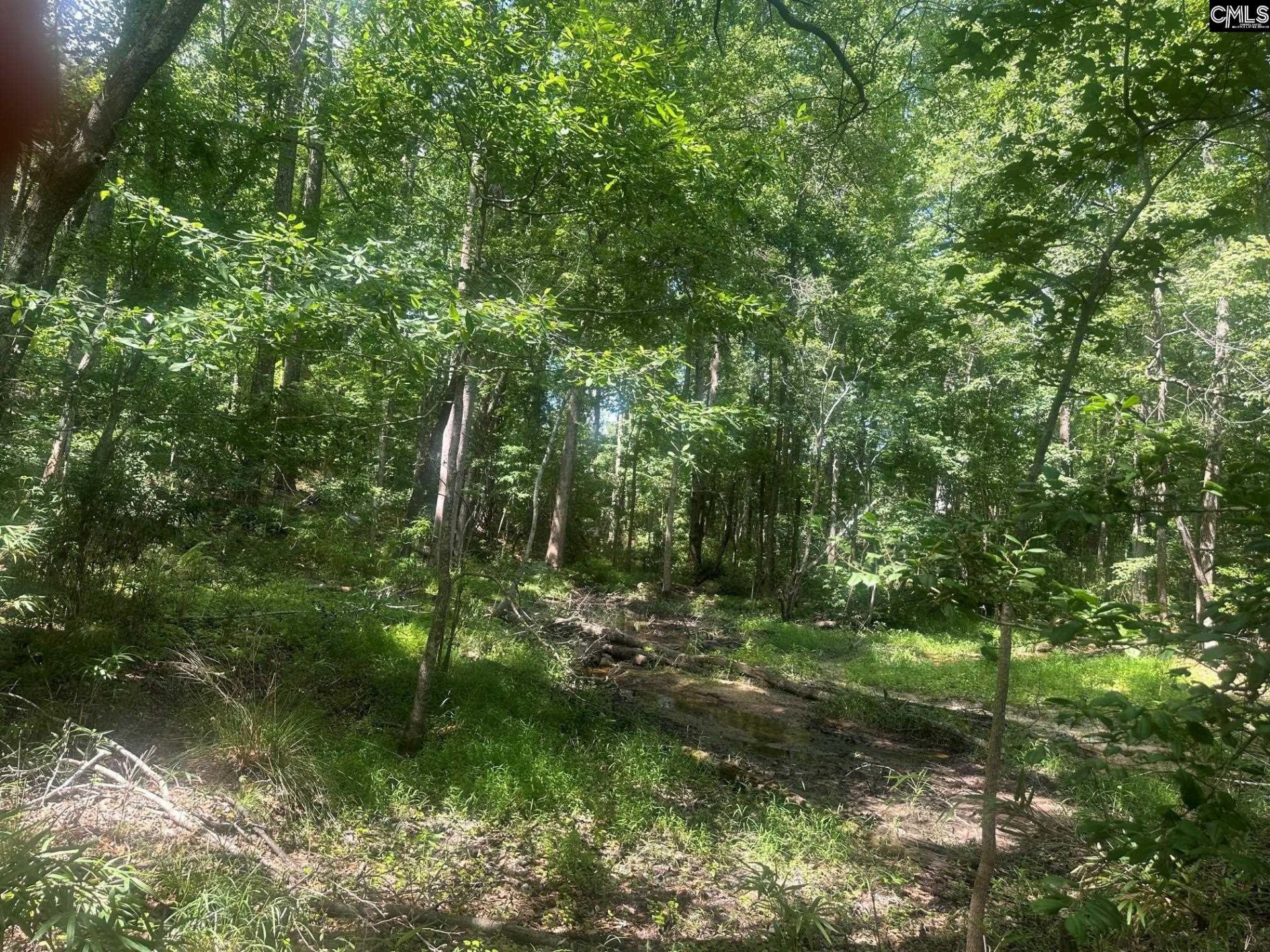 177 Albert Allen Road Photo 10