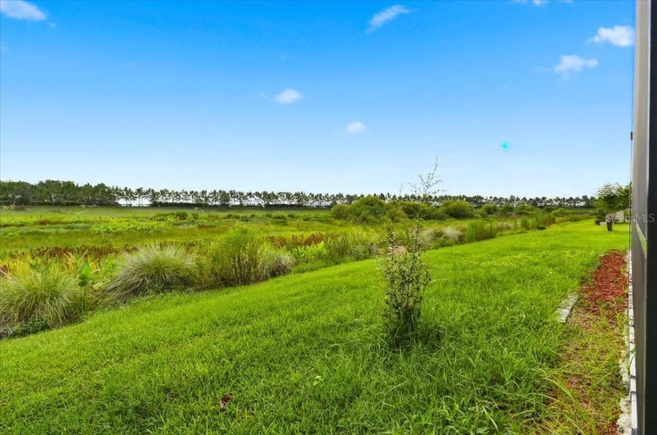 6525 Great Bear Drive, Lakeland, FL 33805 Photo