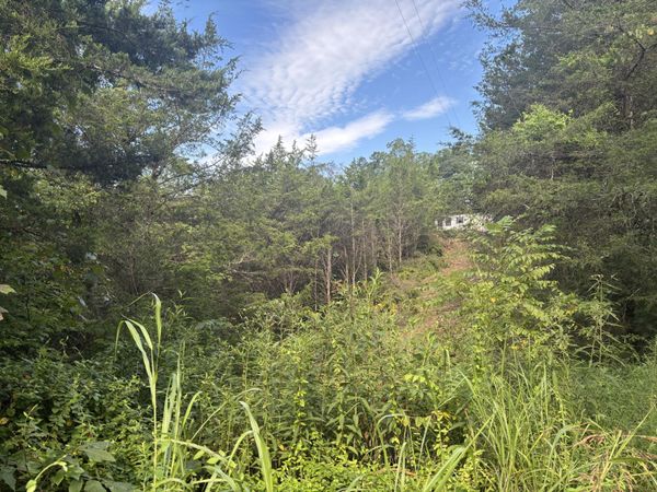2854 Mountain Road, Whitesburg, TN 37891