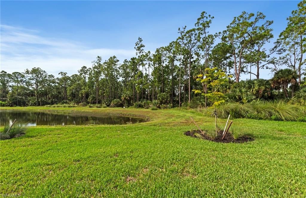 2127 Freemont Way, Naples, FL 34120 Photo