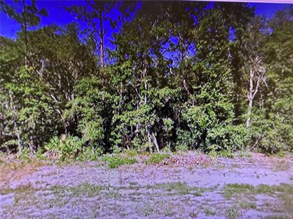 0 CHIPO ST , INTERLACHEN, FL 32148