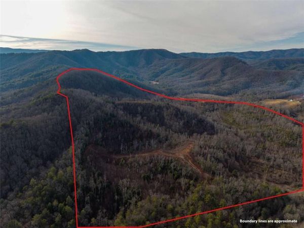 156+ Higdon Creek Road , Blue Ridge, GA 30513