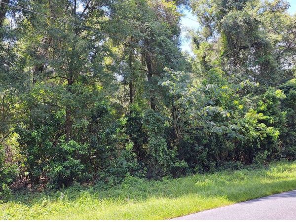 TBD 284TH STREET LOT 9, Branford, FL 32008