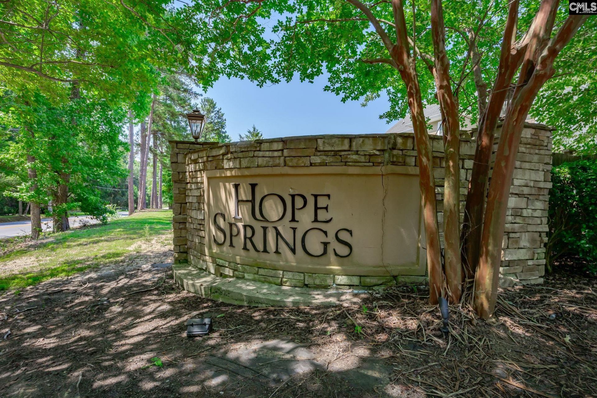 178 Hope Springs Road  Photo 94