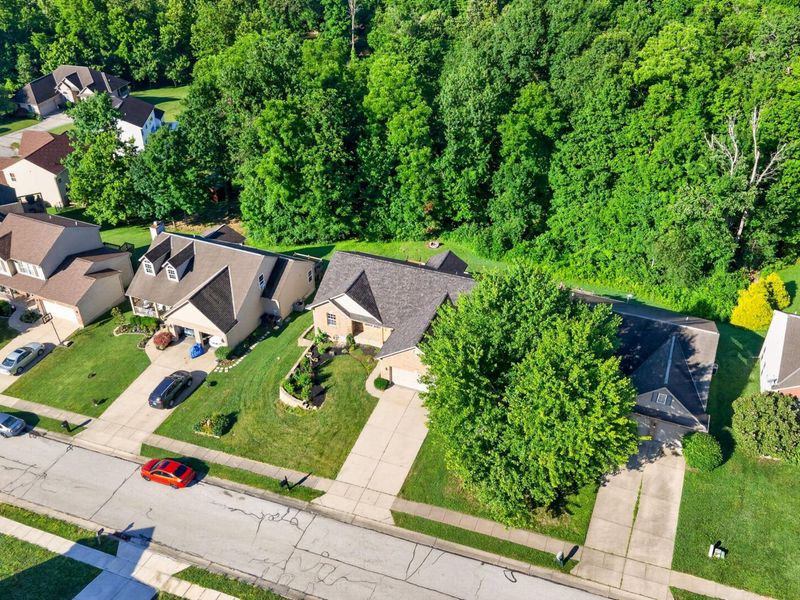 7001 Lucia Drive, Burlington, KY 41005 Photo 35
