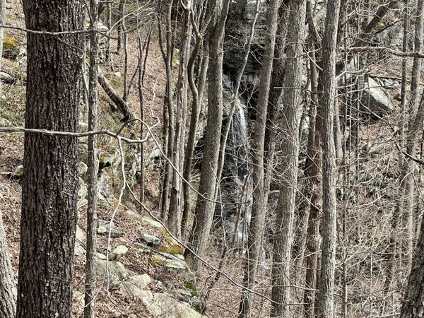 4441 Deer Run Road , Altamont, TN 37301