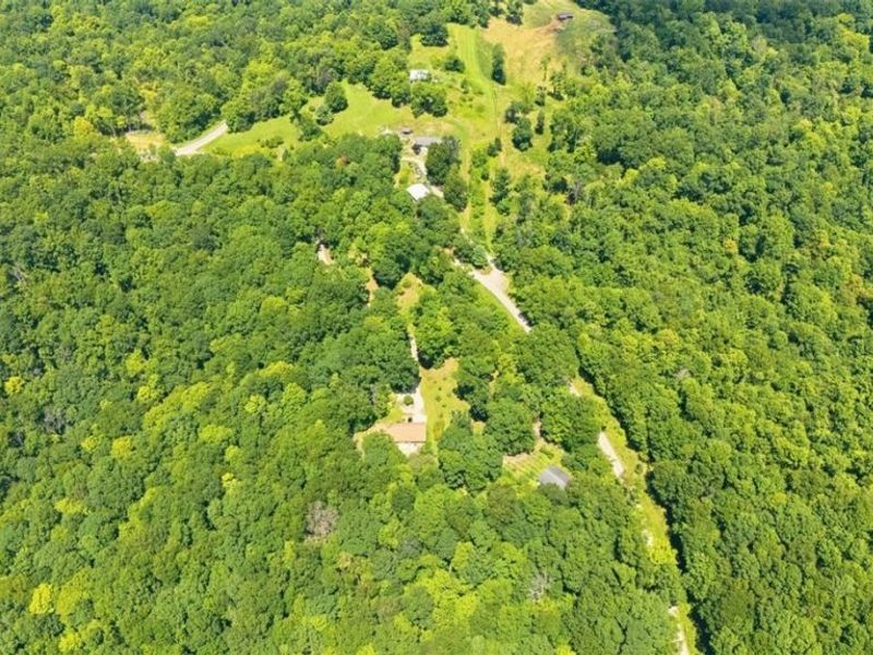 1275 Noe Hill Road, Whipple, OH 45788 Photo 42
