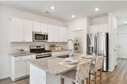 137 Orchard Blossom Lane photo 4