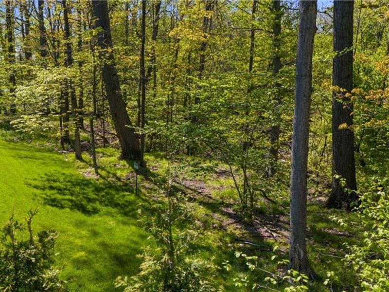233 Lake Balaton Drive, Orange, OH 44128 Photo 4