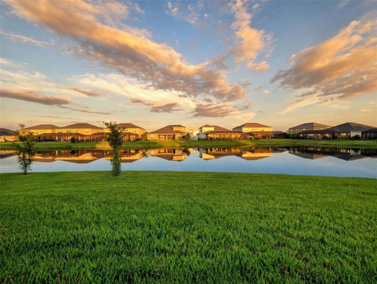 7228 Bradbury Circle, Wesley Chapel, FL 33545 Photo