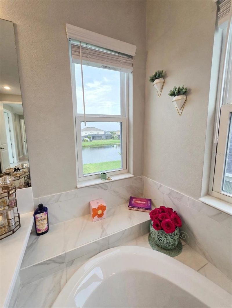 7228 Bradbury Circle, Wesley Chapel, FL 33545 Photo