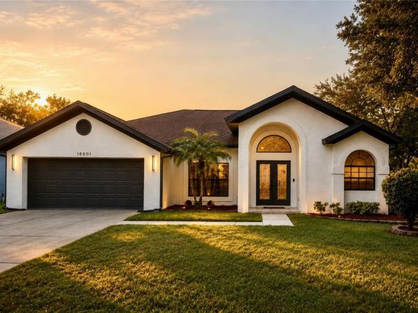 16601 MEADOW COVE STREET , TAMPA, FL 33624
