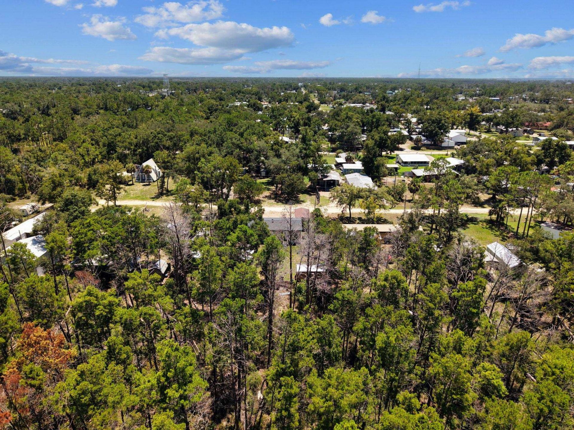 1121 NE Vaughn Lane, Steinhatchee, FL 32359 Photo