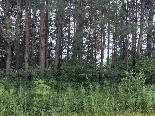 Lot 85 Valleyway Drive, Elmira, MI 49730