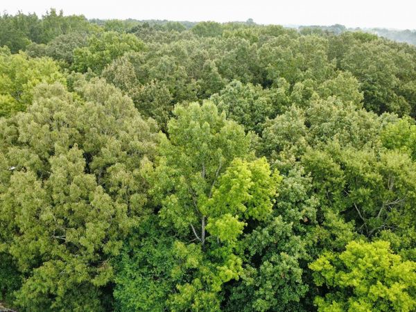 1 acre Honea Road, Hazel Green, AL 35750