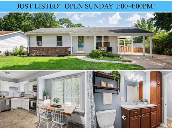 1424 Twin Trails Drive, Fenton, MO 63026