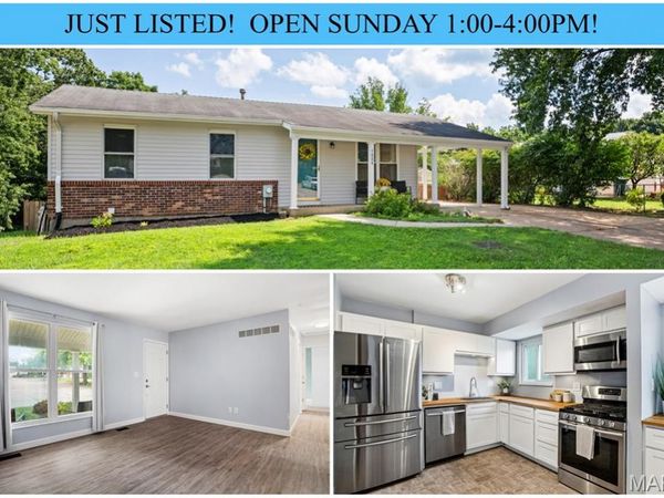 1424 Twin Trails Drive, Fenton, MO 63026