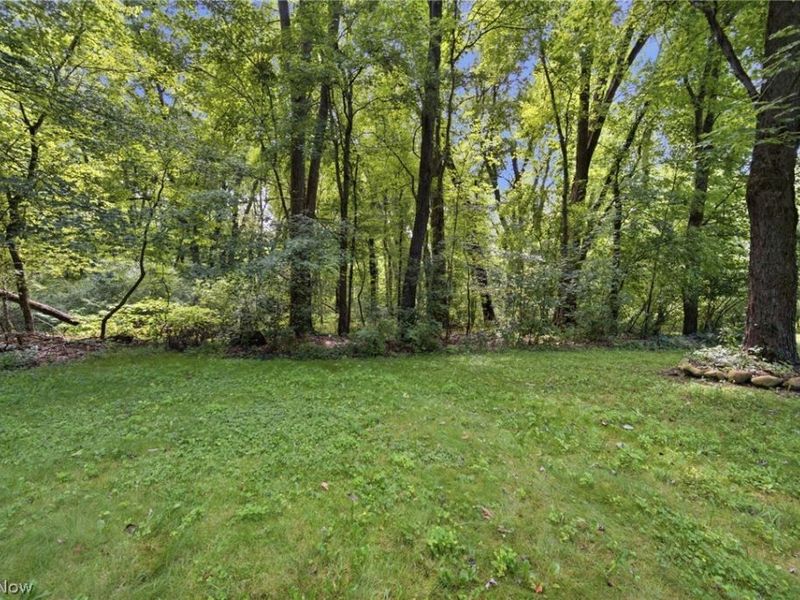 1097 Oak Tree Road, Akron, OH 44320 Photo 33