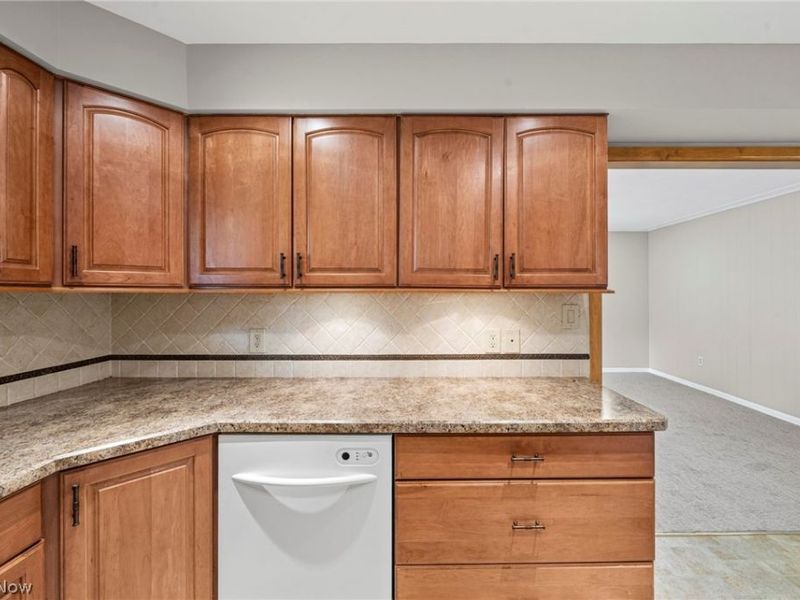 1488 Parkview Drive, Seven Hills, OH 44131 Photo 19