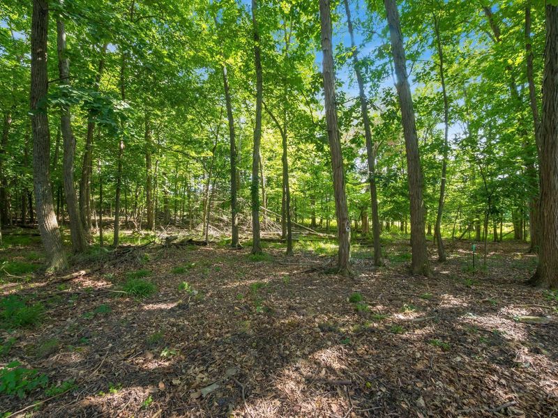 423 Slate Crossing Drive , Delaware, OH 43015 Photo 53