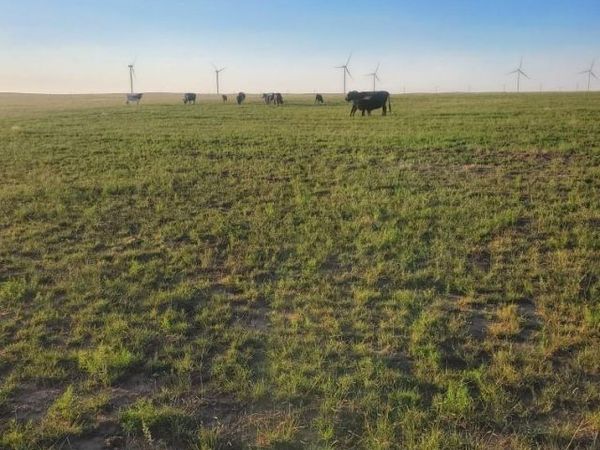 169 County Road , Matheson, CO 80830