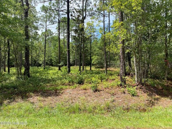 361 Ash Road , Boiling Spring Lakes, NC 28461