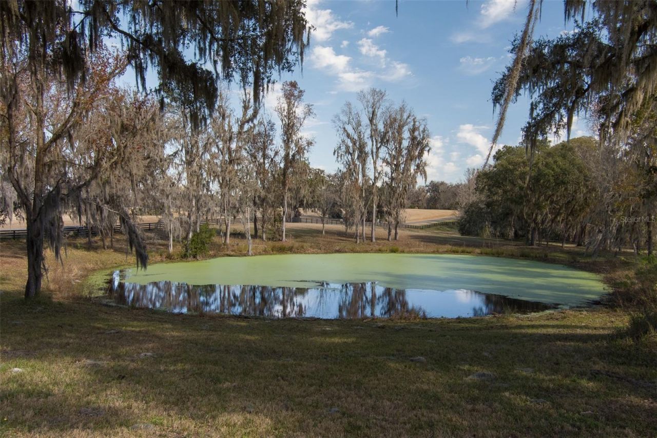11920 SE 22nd Ave Road, Ocala, FL 34480 Photo