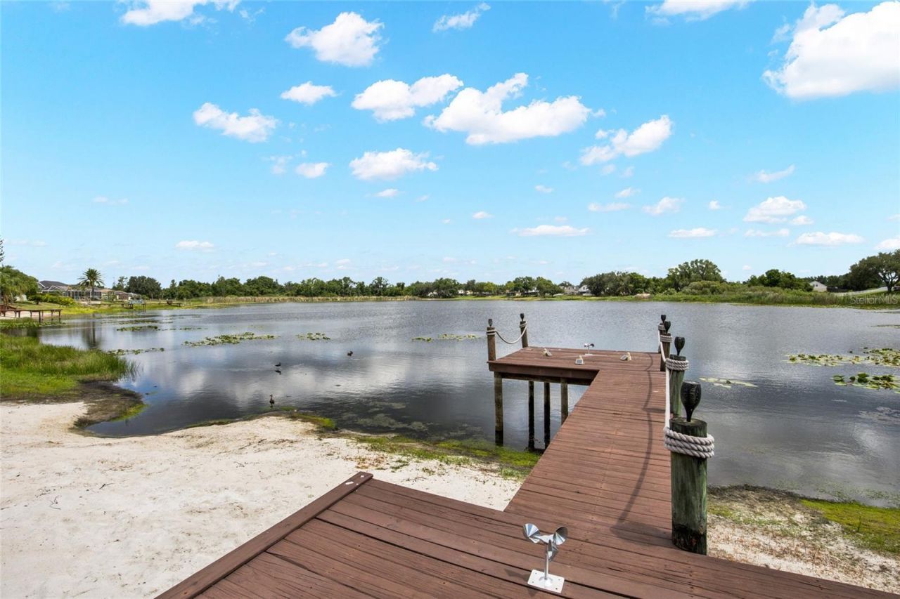 22523 Willow Lakes Drive, Lutz, FL 33549 Photo