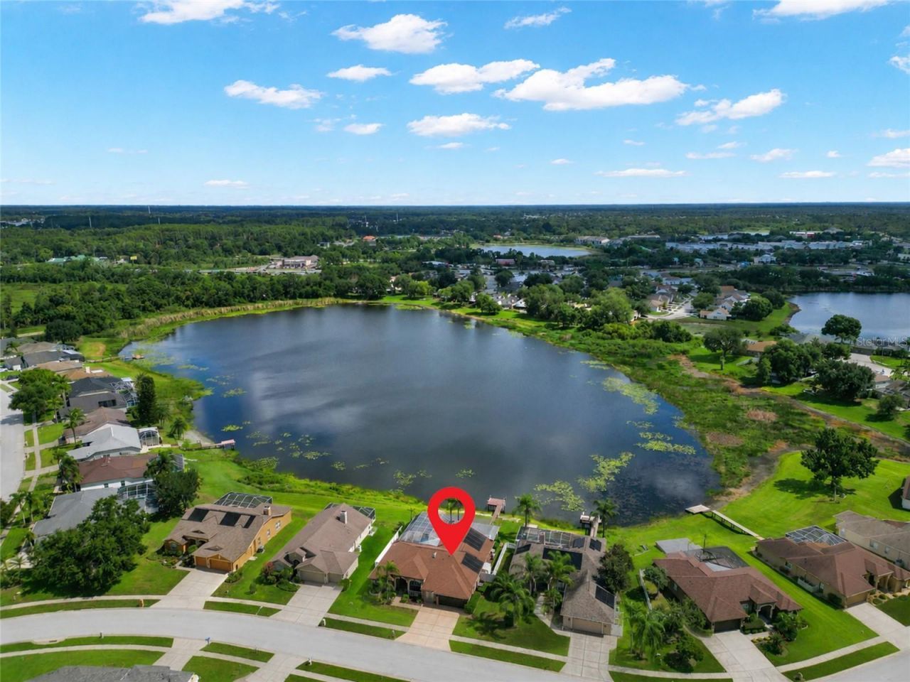 22523 Willow Lakes Drive, Lutz, FL 33549 Photo