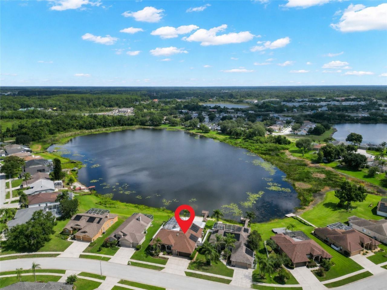 22523 Willow Lakes Drive, Lutz, FL 33549 Photo