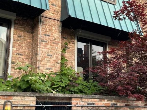 1846 N Hudson Avenue , Unit D, Chicago, IL 60614