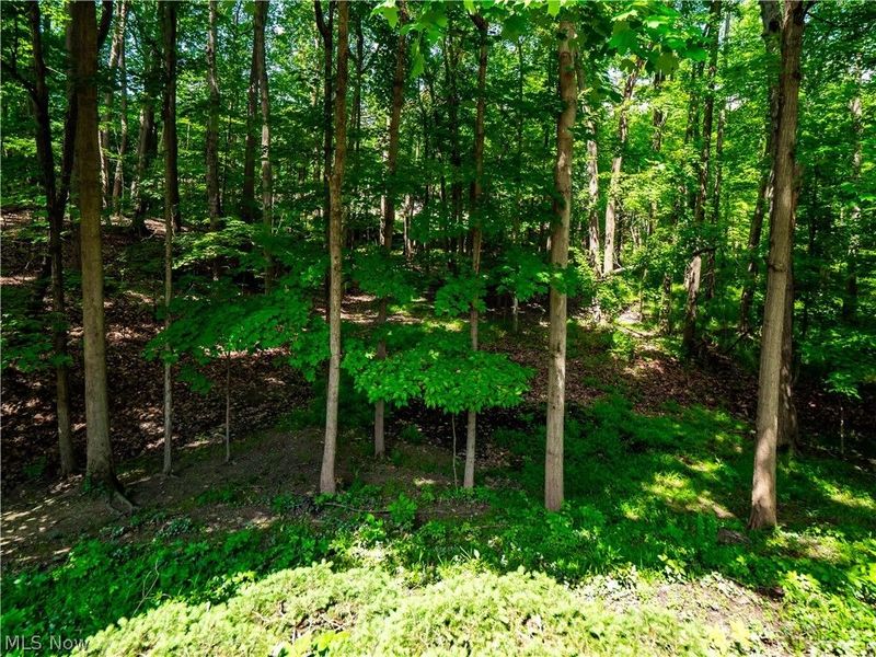 20060 Idlewood Trail, Strongsville, OH 44149 Photo 11