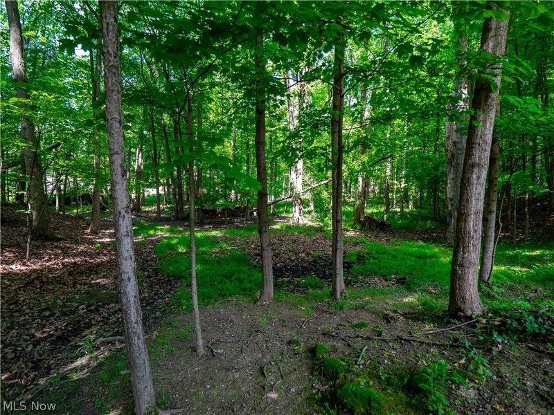 20060 Idlewood Trail, Strongsville, OH 44149 Photo 13