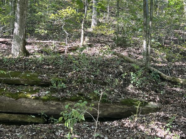 0 NEELEY CREEK RD , Celina, TN 38551
