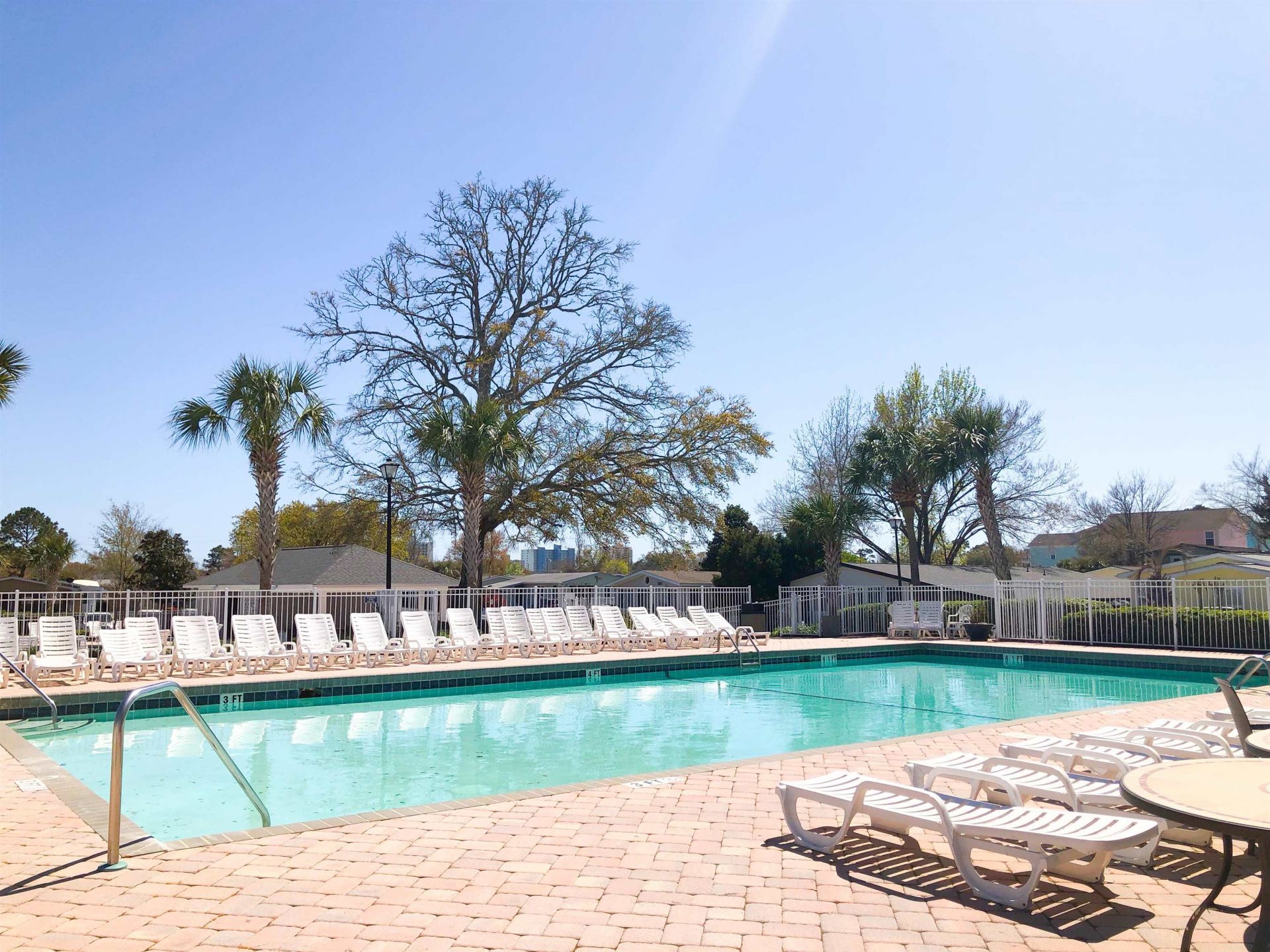 239 Melody Gardens Dr. Photo 50