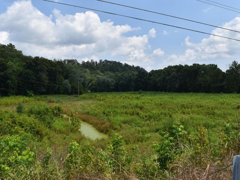 0 Kentucky 39, Somerset, KY 42503 Photo 11