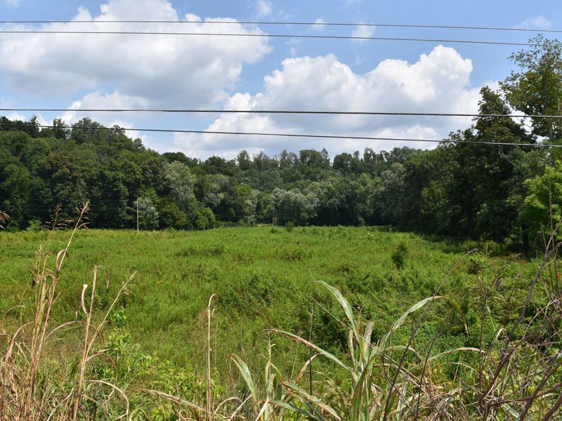 0 Kentucky 39, Somerset, KY 42503 Photo 6