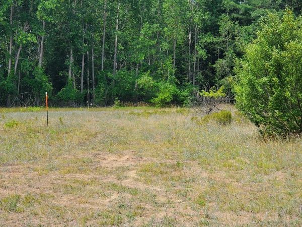 9 Sandbar Lane, Lake, MI 48632