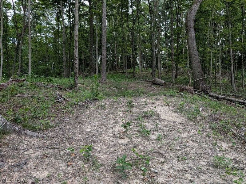 35401 Moore Road, Logan, OH 43138 Photo 10