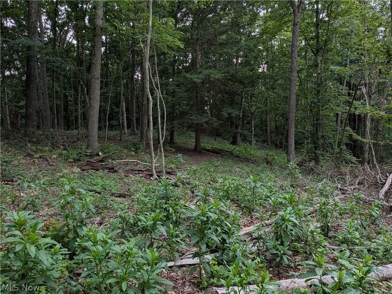 35401 Moore Road, Logan, OH 43138 Photo 11